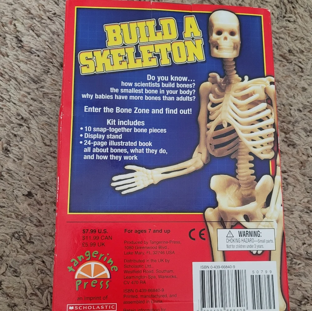 💥3/$24 NIB Scholastic Build a Skeleton Book‎ with Miniature Skeleton